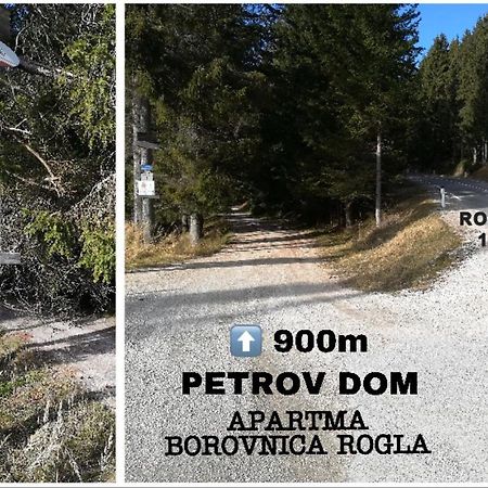 Apartma Borovnica Rogla Vitanje Kültér fotó