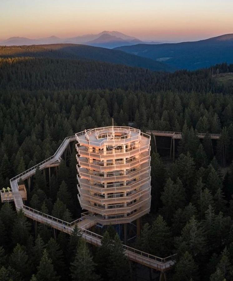 Apartma Borovnica Rogla Vitanje Kültér fotó