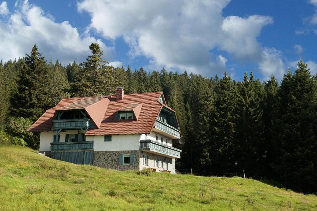 Apartma Borovnica Rogla Vitanje Kültér fotó