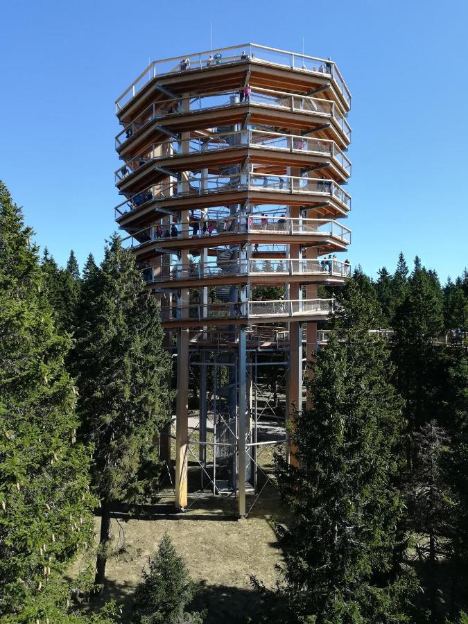 Apartma Borovnica Rogla Vitanje Kültér fotó