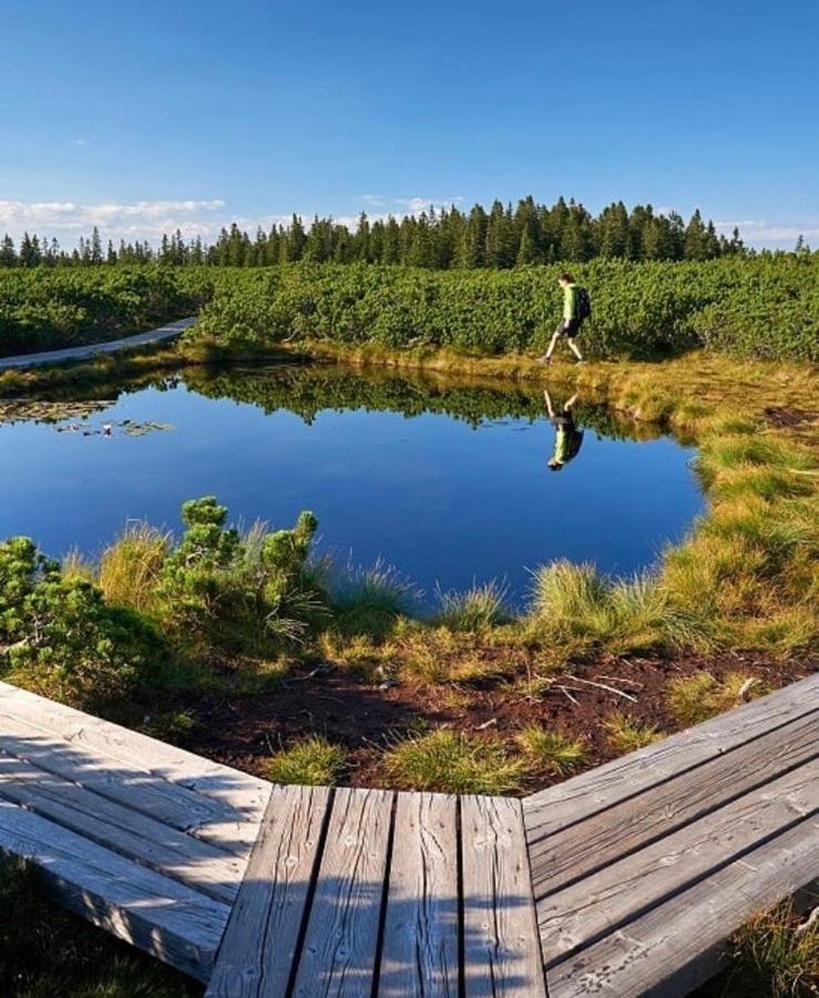 Apartma Borovnica Rogla Vitanje Kültér fotó